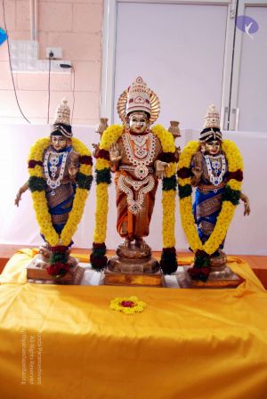 20091224DSC 2611 CMP WM001000.jpg