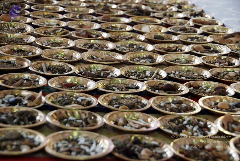 File:20091224DSC 2620 CMP WM001000.jpg