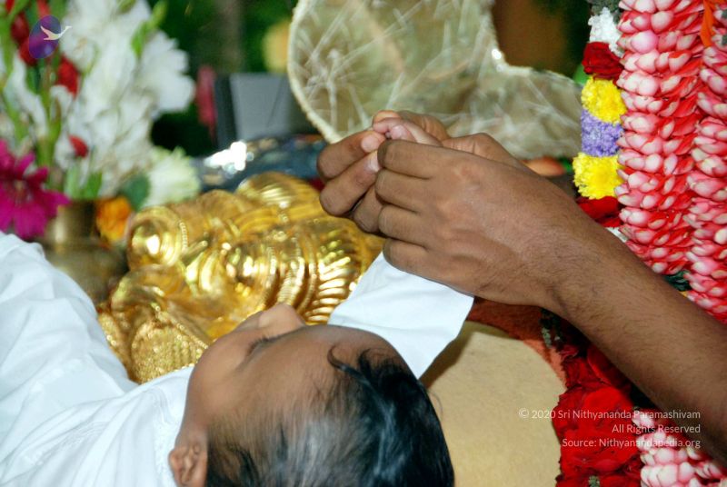 File:20091224DSC 2723 CMP WM001000.jpg