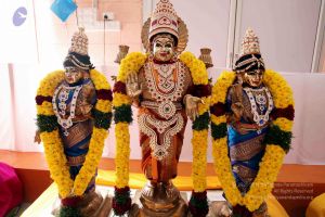 20091224IMG 6861 CMP WM001000.jpg