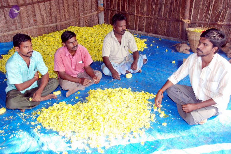 File:20091226DSC 4827 CMP WM0100 Temple.jpg