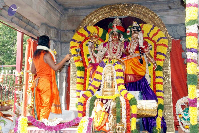 File:20091226DSC 4869 CMP WM0100 Wedding.jpg