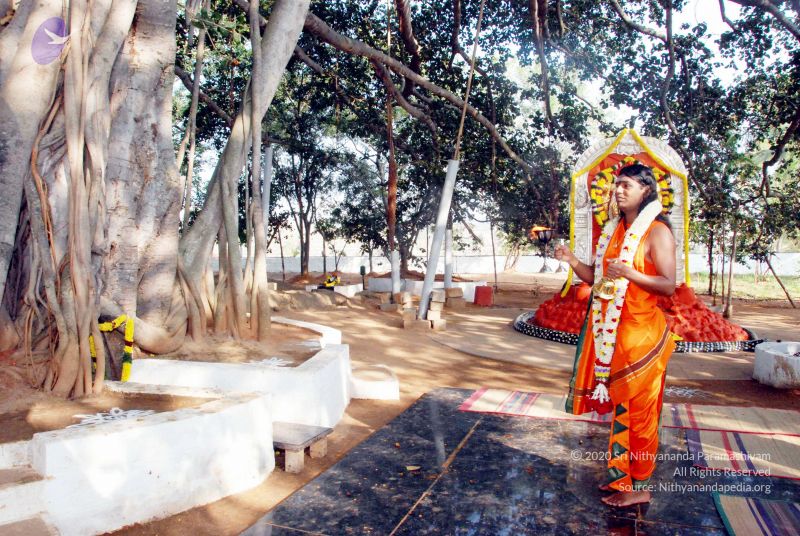 File:20091226DSC 4882 CMP WM0100 Wedding.jpg