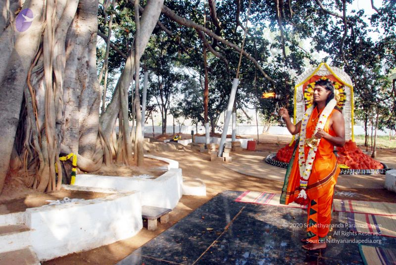 File:20091226DSC 4883 CMP WM0100 Wedding.jpg