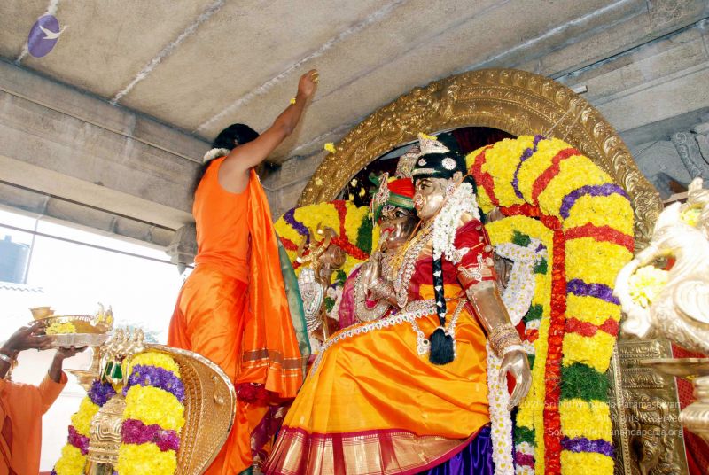 File:20091226DSC 5099 CMP WM0100 Wedding.jpg