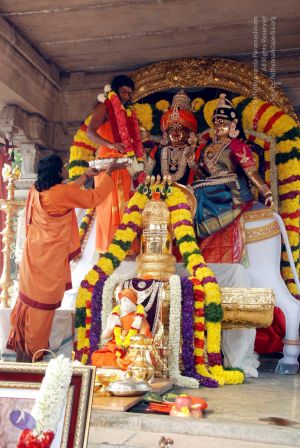 20091227DSC 6255 CMP WM00001.jpg