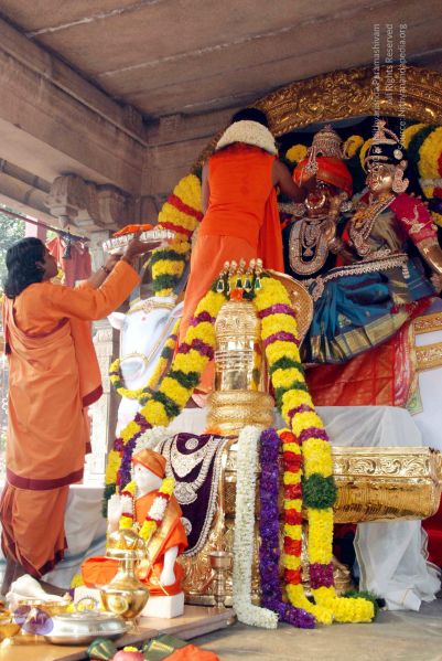 File:20091227DSC 6257 CMP WM00001.jpg