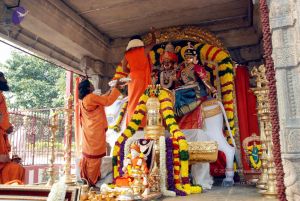 20091227DSC 6273 CMP WM00001000.jpg