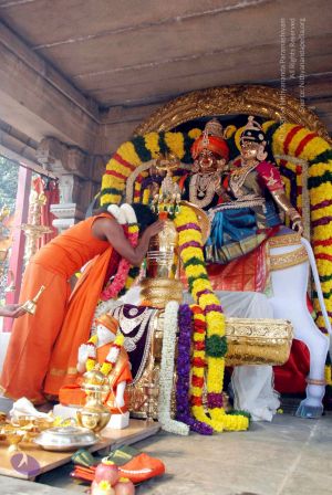 20091227DSC 6289 CMP WM00001000.jpg