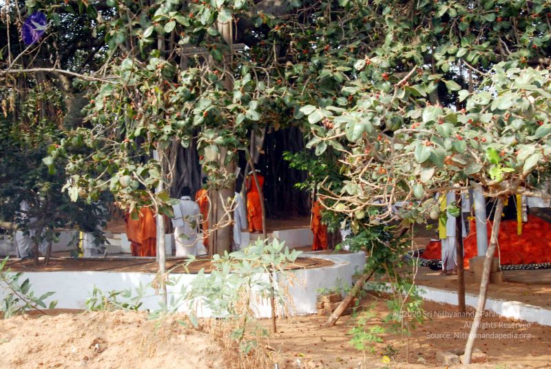 File:20091227DSC 6318 CMP WM00001000.jpg