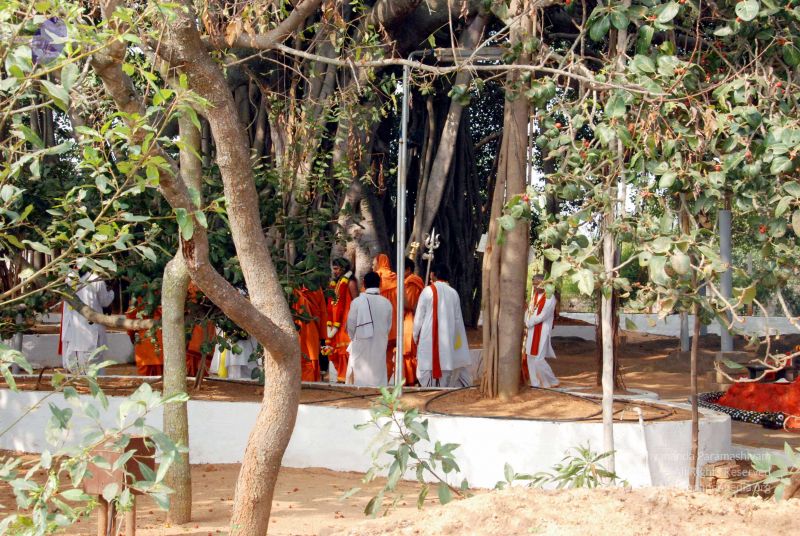 File:20091227DSC 6319 CMP WM00001000.jpg