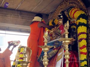 20091227IMG 0360 CMP WM00100.jpg