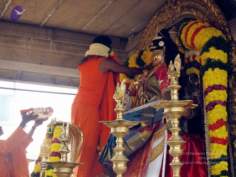 File:20091227IMG 0360 CMP WM00100.jpg