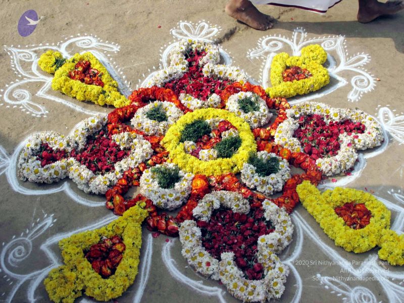 File:20091227IMG 0377 CMP WM00100.jpg