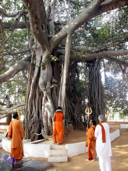 File:20091227IMG 0383 CMP WM00100.jpg