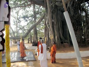 20091227IMG 0385 CMP WM00100.jpg