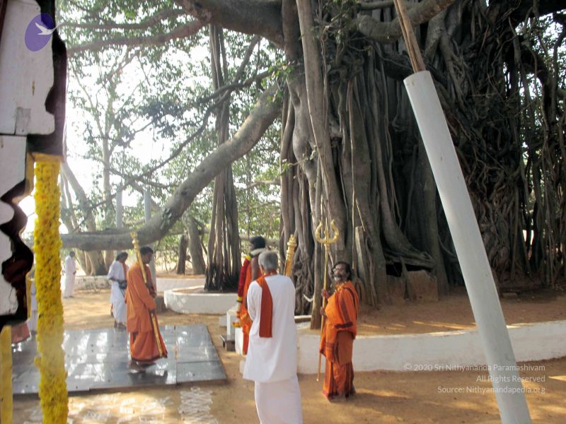 File:20091227IMG 0385 CMP WM00100.jpg