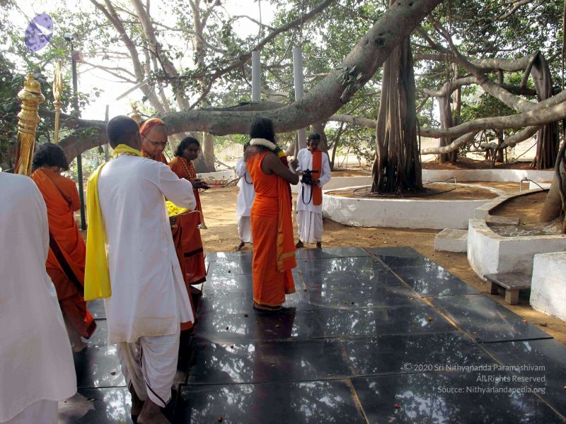 File:20091227IMG 0386 CMP WM00100.jpg