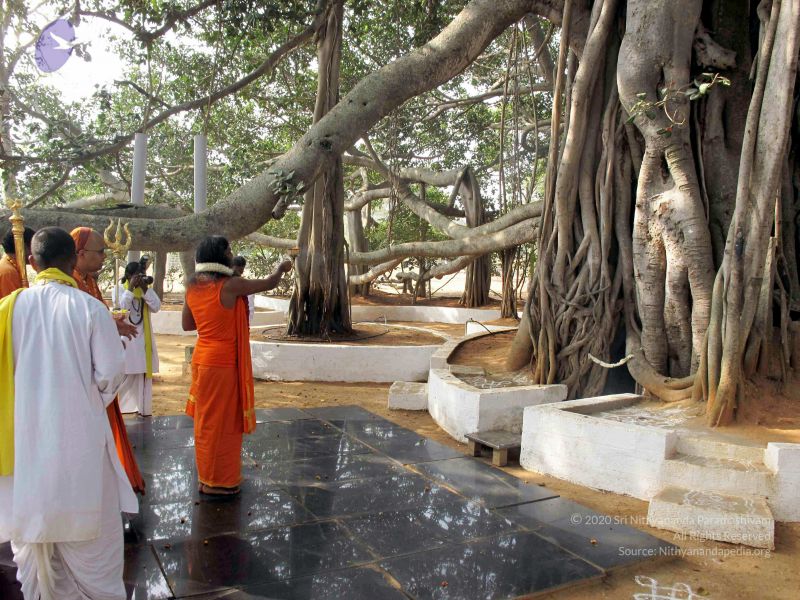 File:20091227IMG 0387 CMP WM00100.jpg