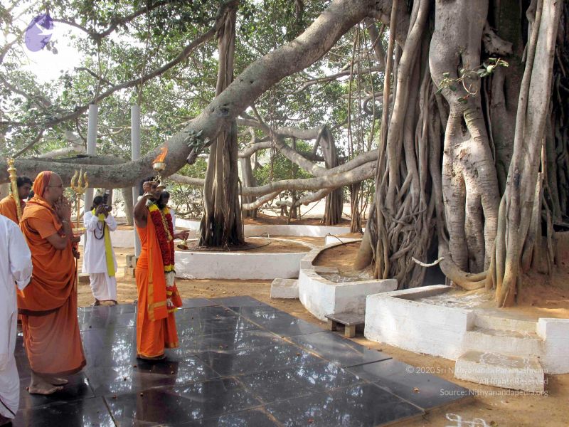 File:20091227IMG 0388 CMP WM00100.jpg