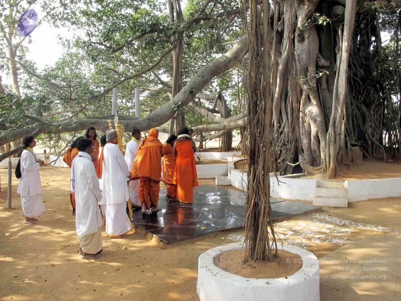 File:20091227IMG 0393 CMP WM00100.jpg