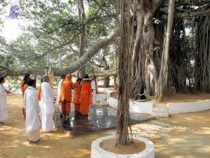 20091227IMG 0394 CMP WM00100.jpg