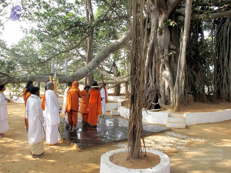 File:20091227IMG 0394 CMP WM00100.jpg