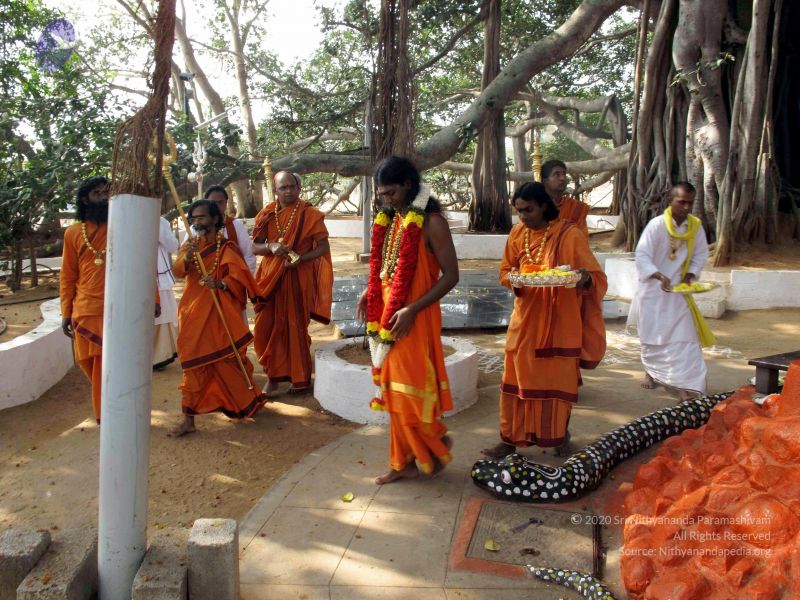 File:20091227IMG 0397 CMP WM00100.jpg