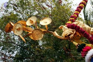 20091227IMG 9306 CMP WM00001000.jpg