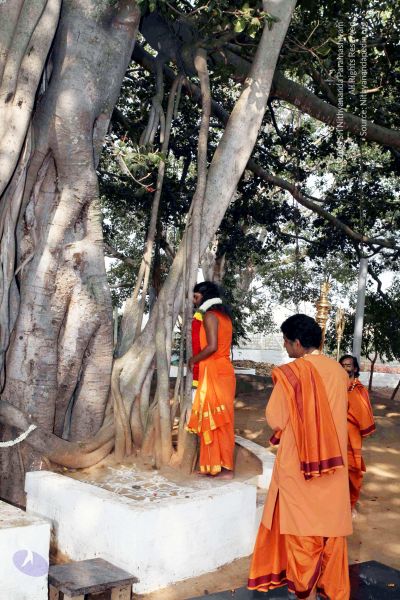 File:20091227IMG 9841 CMP WM00001000 Procession.jpg