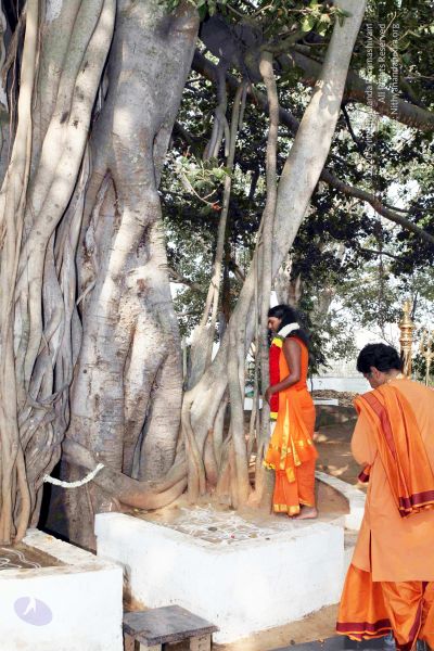 File:20091227IMG 9842 CMP WM00001000 Procession.jpg