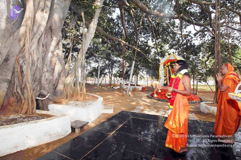 File:20091227IMG 9844 CMP WM00001000 Procession.jpg