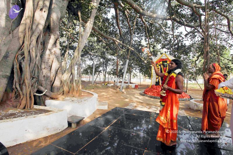 File:20091227IMG 9845 CMP WM00001000 Procession.jpg