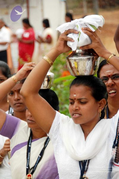 File:20091228DSC 7362 CMP WM001.jpg