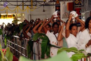 20091228DSC 7423 CMP WM001.jpg