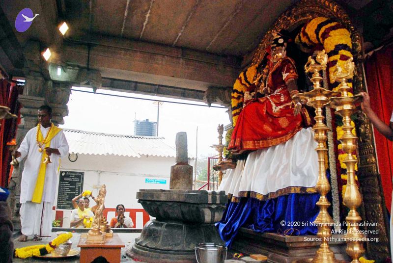 File:20091228DSC 7429 CMP WM001.jpg