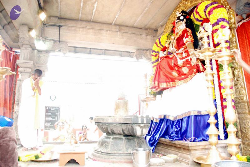 File:20091228DSC 7430 CMP WM001.jpg