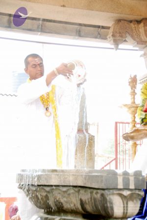 20091228DSC 7433 CMP WM001.jpg