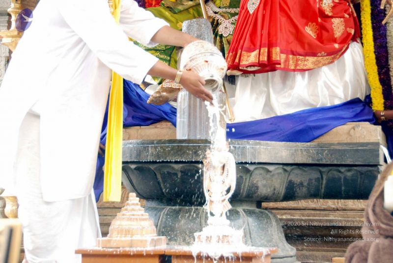 File:20091228DSC 7437 CMP WM001.jpg