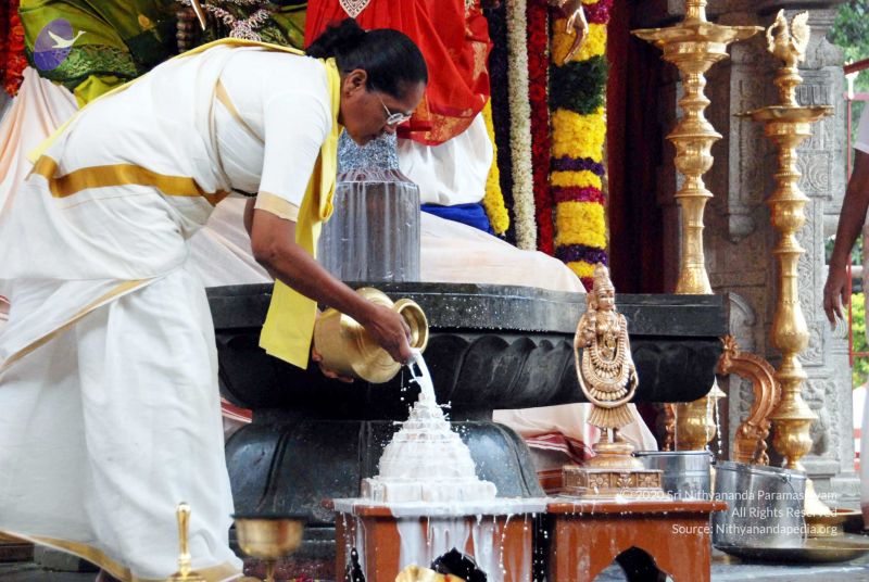 File:20091228DSC 7442 CMP WM001.jpg