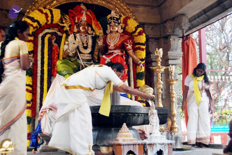 File:20091228DSC 7443 CMP WM001.jpg