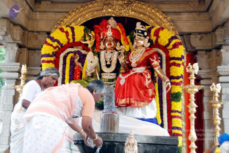 File:20091228DSC 7445 CMP WM001.jpg