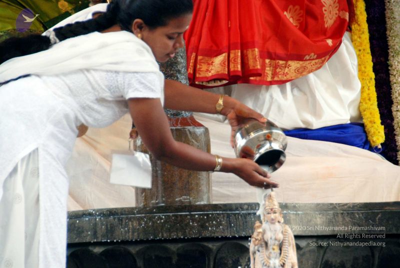 File:20091228DSC 7453 CMP WM001.jpg