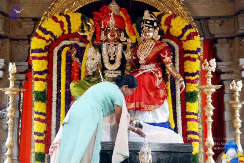 File:20091228DSC 7456 CMP WM001.jpg