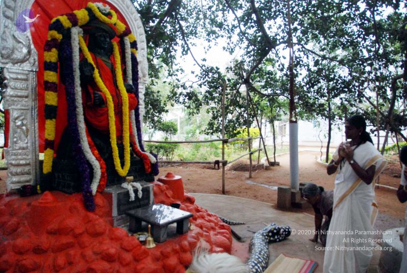 File:20091228DSC 7476 CMP WM001.jpg