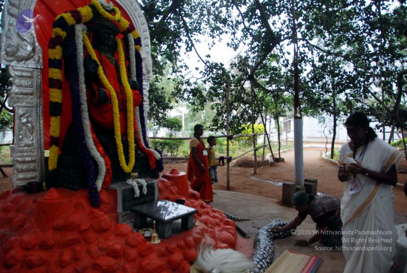 File:20091228DSC 7477 CMP WM001.jpg