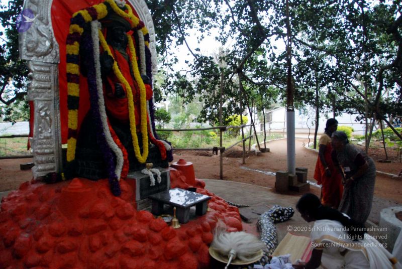 File:20091228DSC 7478 CMP WM001.jpg