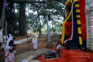 20091228DSC 7482 CMP WM001.jpg