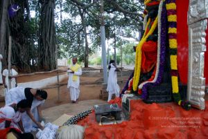 20091228DSC 7484 CMP WM001.jpg