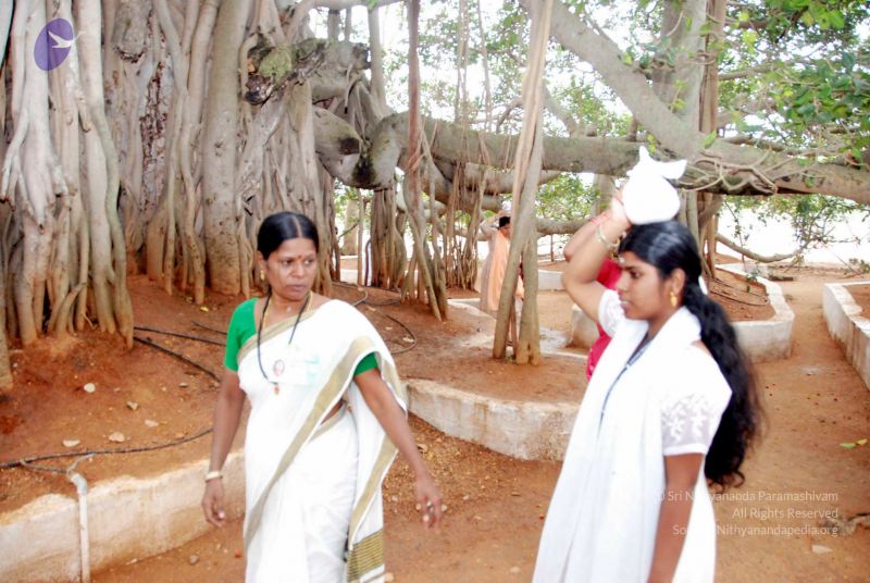 File:20091228DSC 7494 CMP WM001.jpg